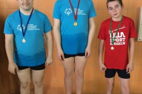 17693101_1706560876037361_580296784_o